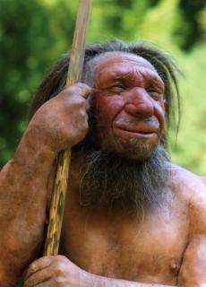 neanderthaler