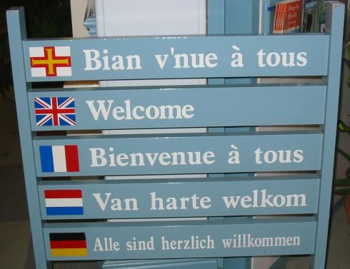 Het Nederlands gedijt het beste in een wereld van meertaligheid